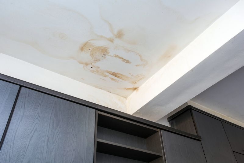 Ceiling Leak Repair Service in Santa Rosa, CA