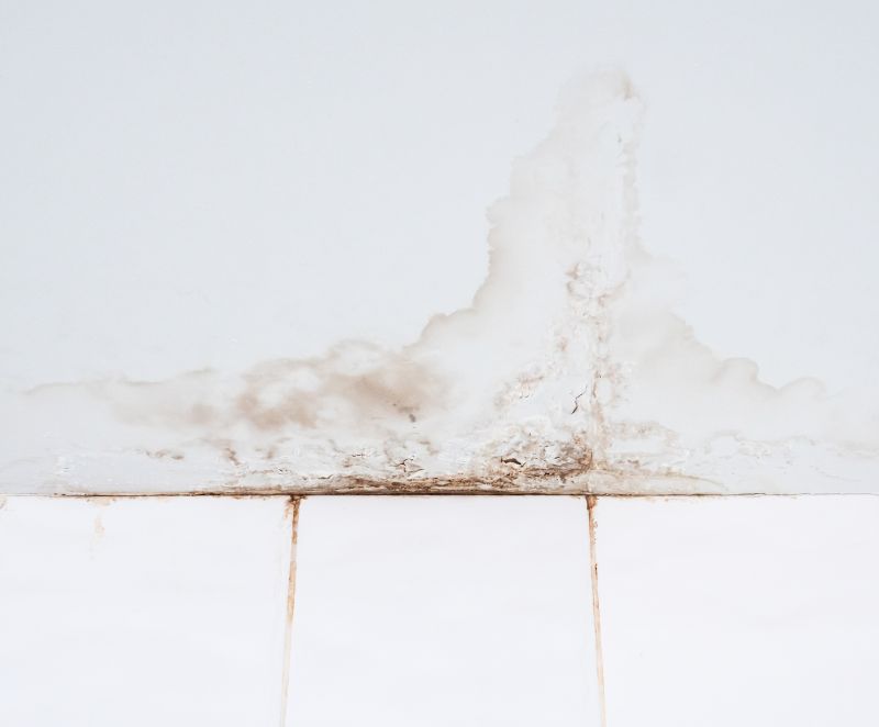 Ceiling Leak Repair Service in Denver County, CO
