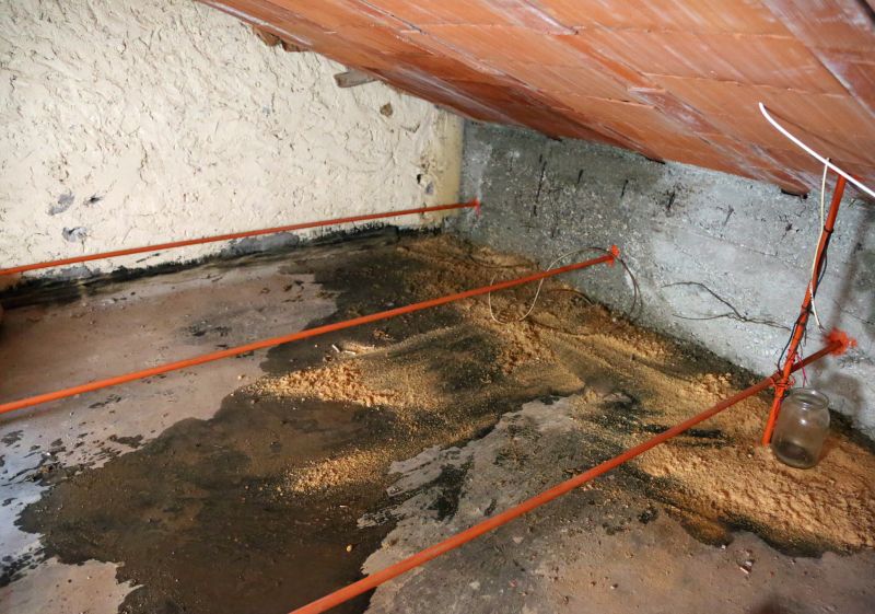 Crawl Space Remediation in Katy, TX