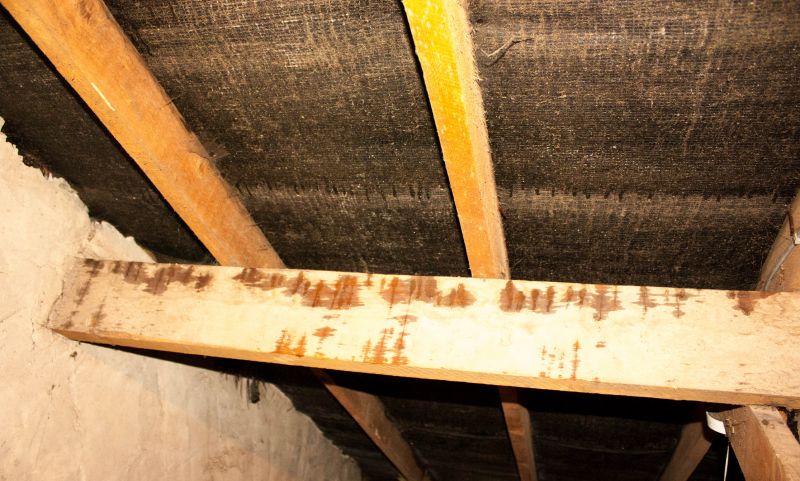 Home Restoration in Littleton, CO